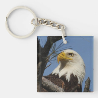 Mature Bald Eagle Close Up Head 2 Photos Keychain