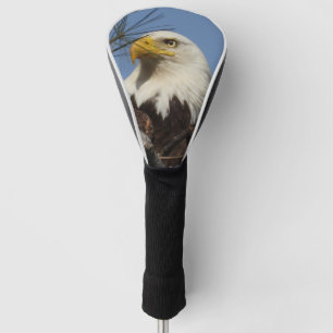 Mature Bald Eagle Close Up Head Golf Head Cover