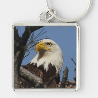 Mature Bald Eagle Close Up Head Keychain