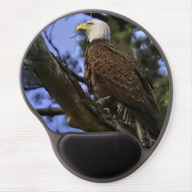 Mature Bald Eagle Gel Mouse Pad (Front)