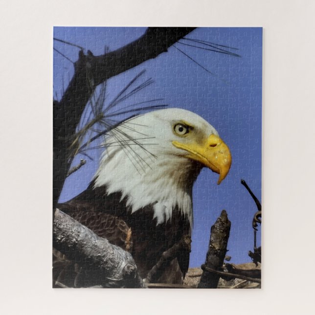 Mature Bald Eagle in Nest Jigsaw Puzzle (Vertical)
