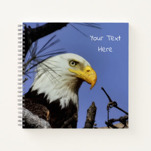 Mature Bald Eagle in Nest *Personalize*  Notebook