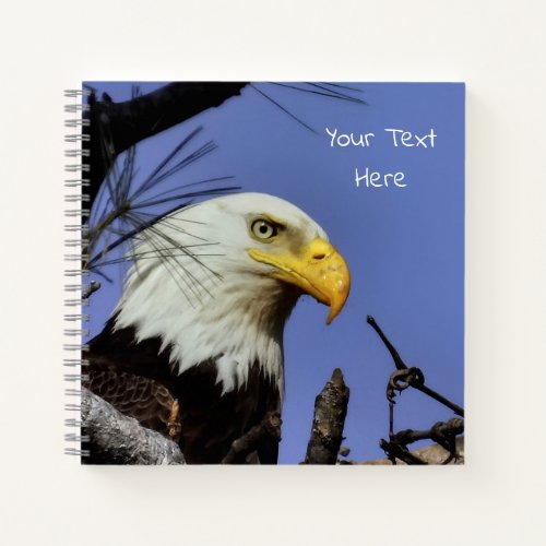 Mature Bald Eagle in Nest Personalize  Notebook