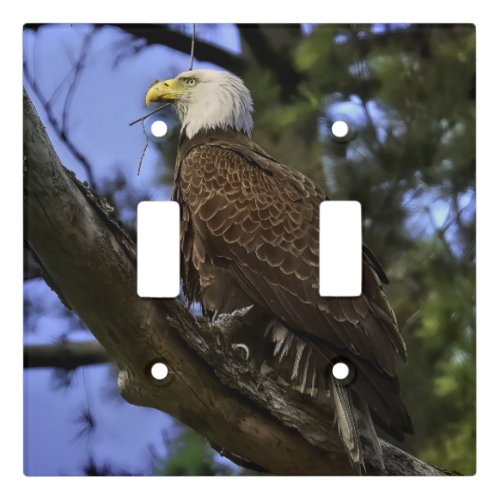 Mature Bald Eagle Light Switch Cover