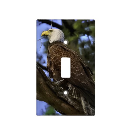 Mature Bald Eagle Light Switch Cover