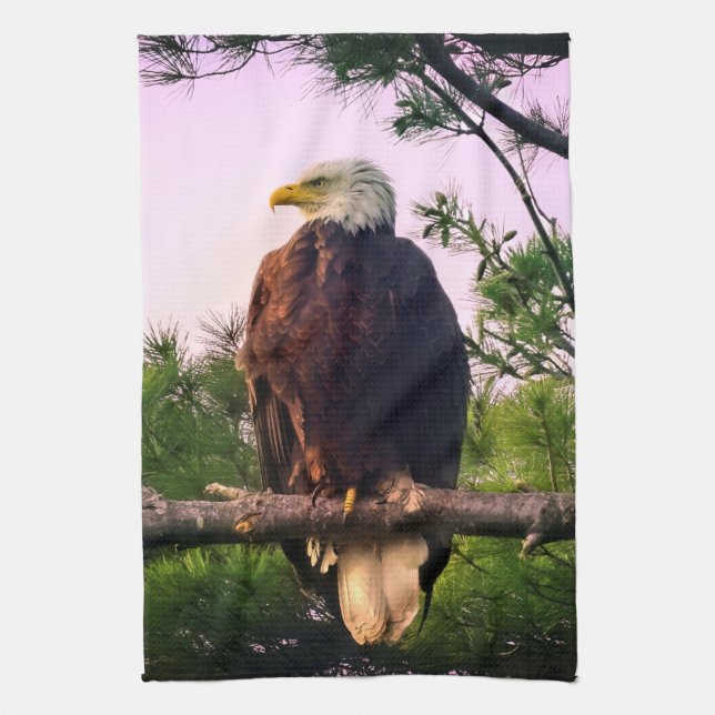 Mature Bald Eagle perched in Evergreen Tree  Kitchen Towel (Vertical)