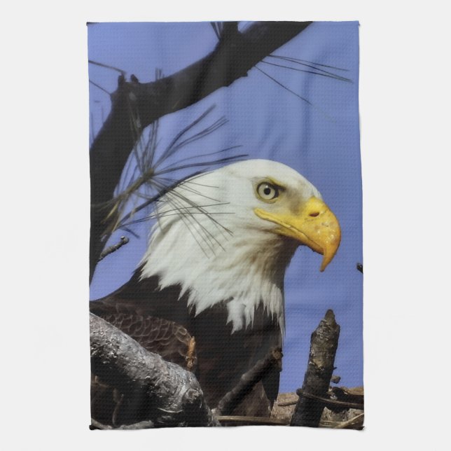 Mature Male Bald Eagle Close Up Head Shot Kitchen Towel (Vertical)