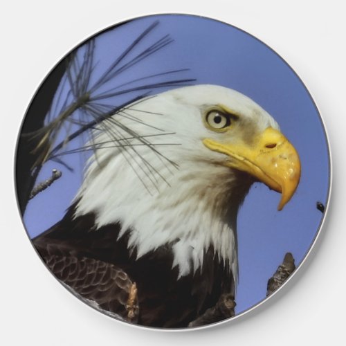 Mature Male Bald Eagle Close Up Head Shot Wireless Charger