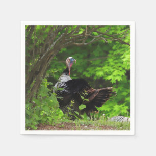 Mature Male Wild Turkey -Thanksgiving Napkins