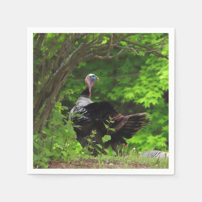 Mature Male Wild Turkey -Thanksgiving Napkins (Front)