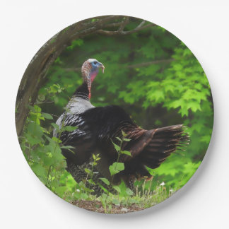 Mature Male Wild Turkey -Thanksgiving Paper Plates