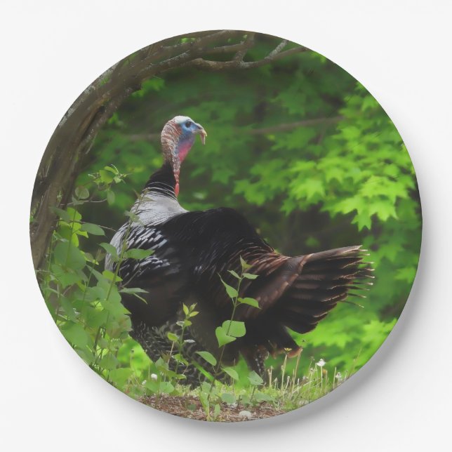 Mature Male Wild Turkey -Thanksgiving Paper Plates (Front)