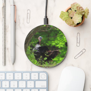 Mature Male Wild Turkey Wireless Charger