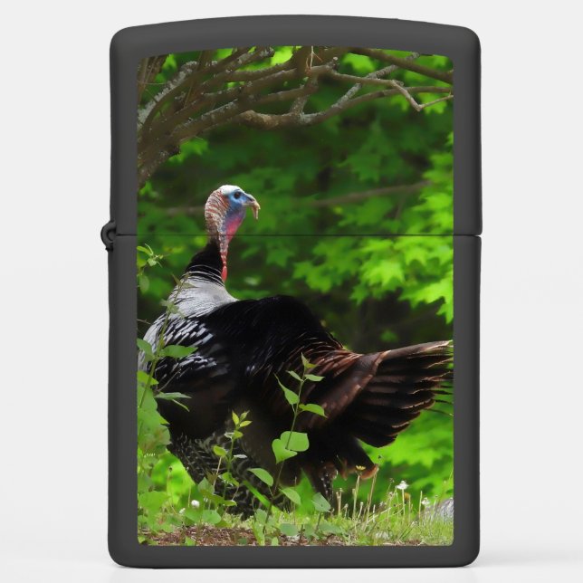 Mature Male Wild Turkey  Zippo Lighter (Front)