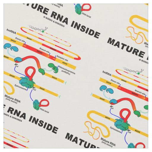 Mature RNA Inside Biology Humor Fabric