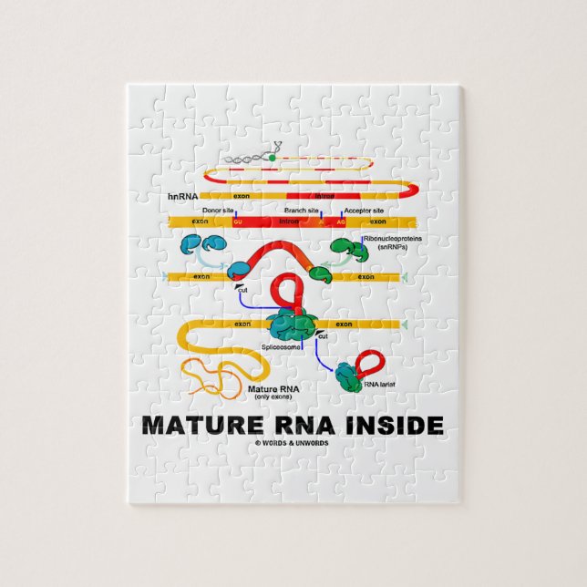 Mature RNA Inside Biology Humor Jigsaw Puzzle (Vertical)
