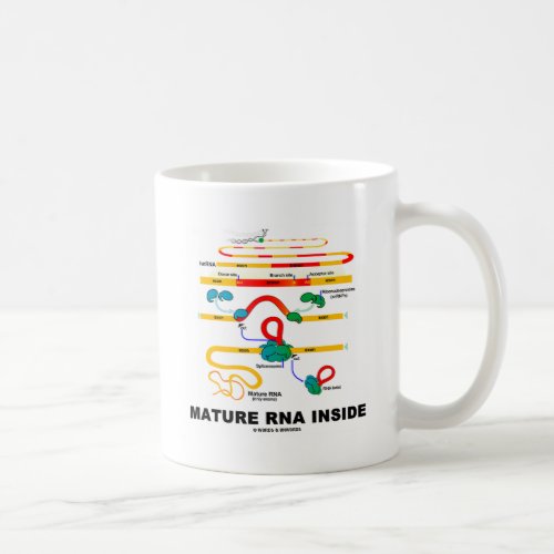 Mature RNA Inside Coffee Mug