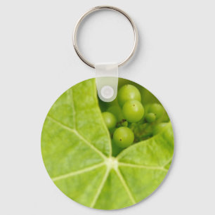 Maturing grapes keychain