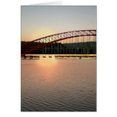 Maturity is Overrated Cards (Front)