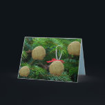 Matzoh Ball Ornaments on Christmas Tree - Hanukah Holiday Card<br><div class="desc">Matzoh Balls on Christmas Tree - Funny Holiday Greeting Cards - Laughter,  Humor,  Funny</div>