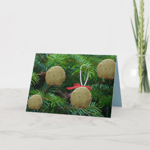 Matzoh Ball Ornaments on Christmas Tree — Hanukah Holiday Card