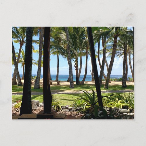 Maui Beach Hawaii Palm Trees Postcard