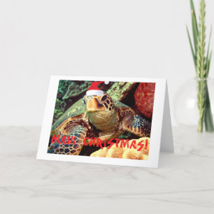 "MAUI CHRISTMAS" SEA TURTLE WITH CHRISTMAS HAT HOLIDAY CARD