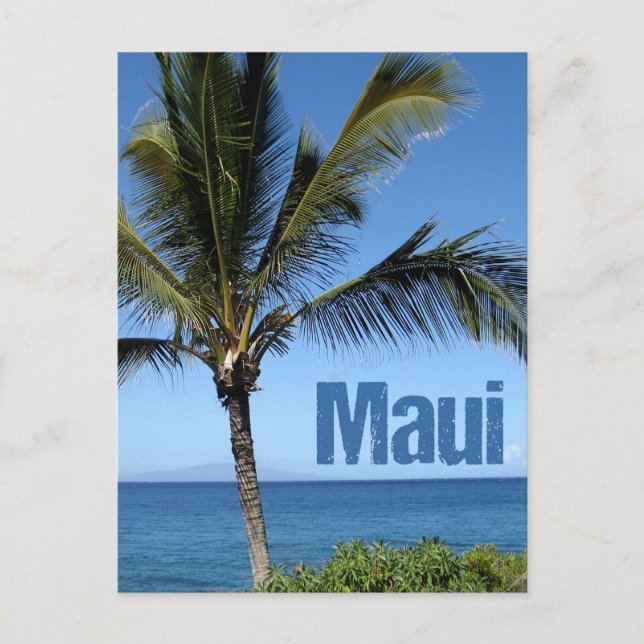 Maui Hawaii Beautiful Ocean Palm Tree Postcard (Front)
