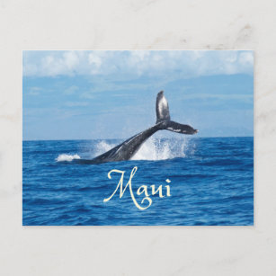 Maui Hawaii Ocean Whale Tail Postcard