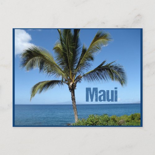 Maui Hawaii Palm Tree Scenic Postcard