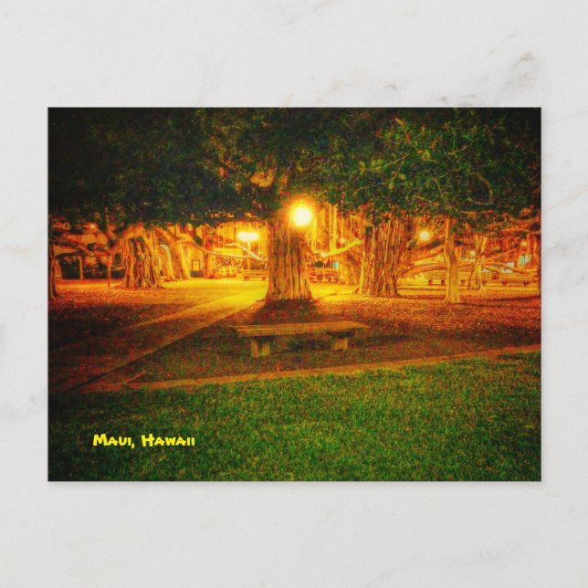 maui, hawaii postcard with picture of banyan tree (Front)