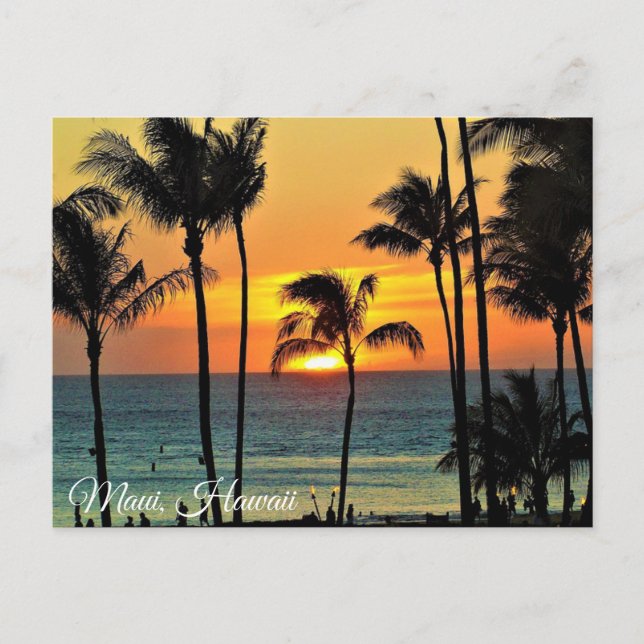 Maui, Hawaii Sunset  Photography Postcard (Front)