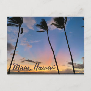 Maui Hawaii Sunset Postcard