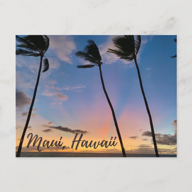 Maui Hawaii Sunset Postcard (Front)