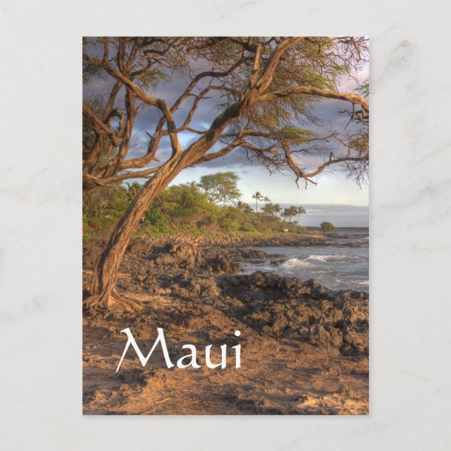 Maui ocean view postcard (Front)