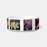 Maui Pet Bowl<br><div class="desc">photo of Maui Hawaii</div>