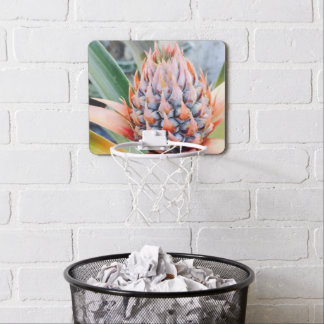 Maui Pineapple Basketball Hoop
