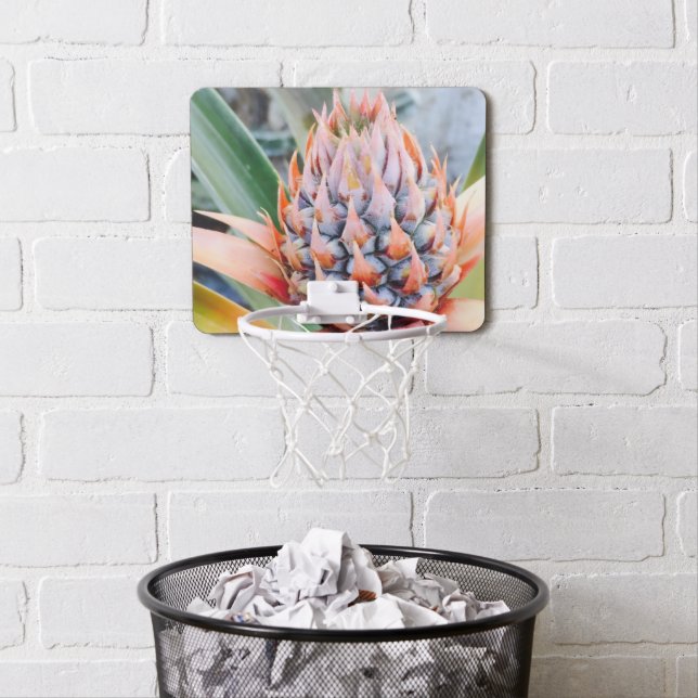 Maui Pineapple Basketball Hoop (In Situ)