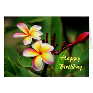 Happy Birthday You Are A Blessing Cards | Zazzle