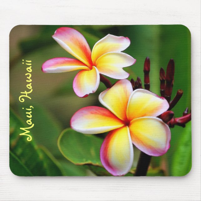 Maui Plumeria Flowers Mousepad (Front)