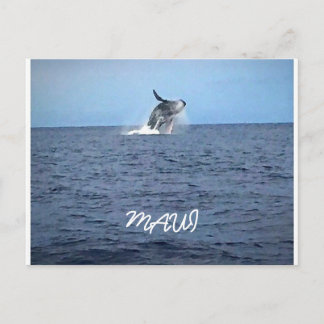 Maui Postcard