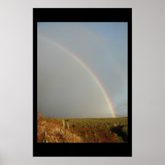 maui rainbow poster