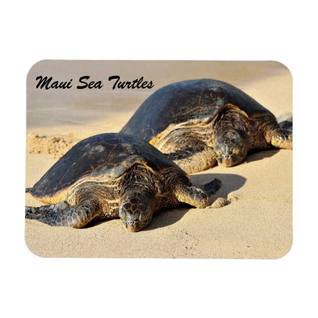 Maui Sea Turtles Magnet (Horizontal)