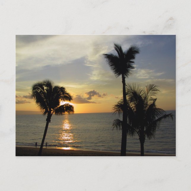 Maui Sunset 2 Postcard (Front)