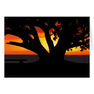 Maui sunset cards