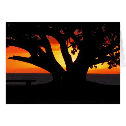 Maui sunset cards (Front Horizontal)