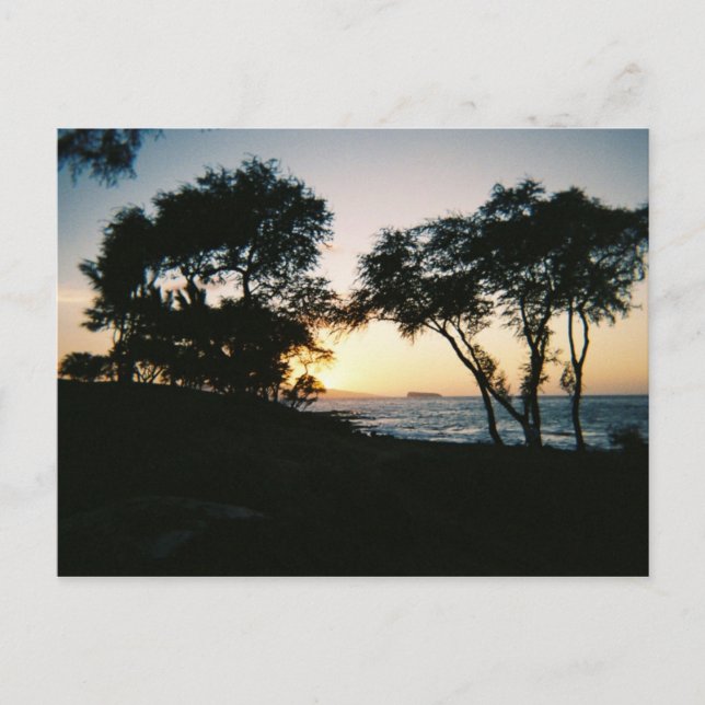 Maui Sunset Postcard (Front)