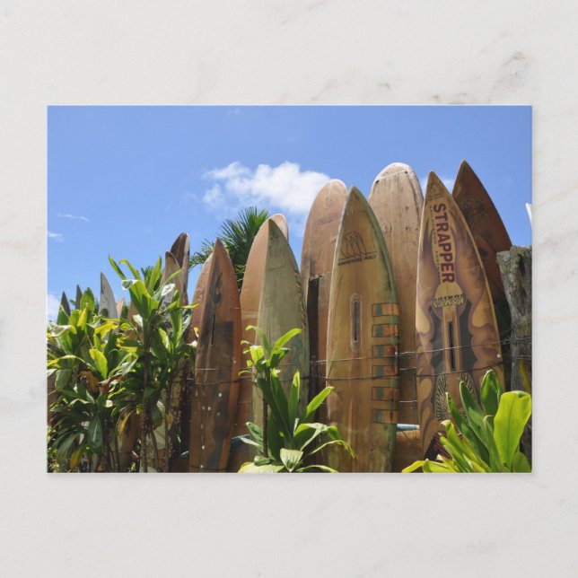 Maui Surfboard fence Postcard (Front)