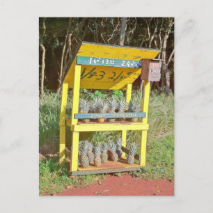 Maui Sweet Pineapple Stand Postcard