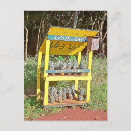 Maui Sweet Pineapple Stand Postcard